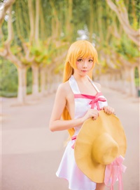 Star's Delay to December 22, Coser Hoshilly BCY Collection 9(118)
